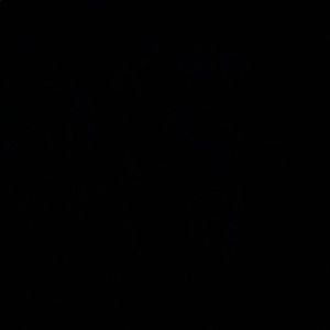 Meet your Posher, Paige